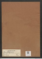 Grammatophora moronensis Grev. (de-Toni-Nr.: Genus 93, Species 3026) Zeichnungen Sammlung Grunow Mappe 03206 (Herbarium_W_Grunow_drawings_Folder_03206)